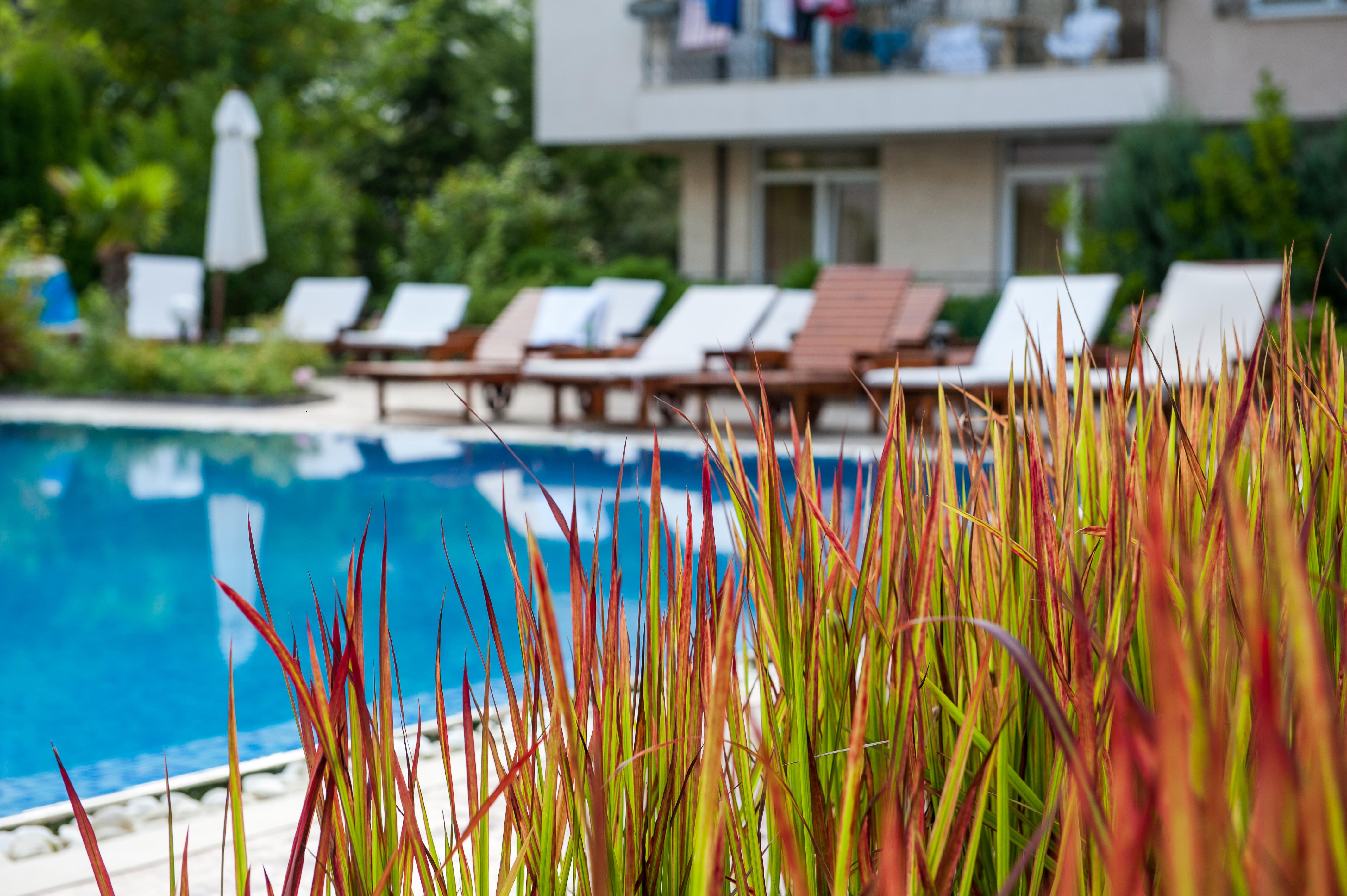 Aparthotel Dawn Park Complex Sluneční pobřeží Exteriér fotografie